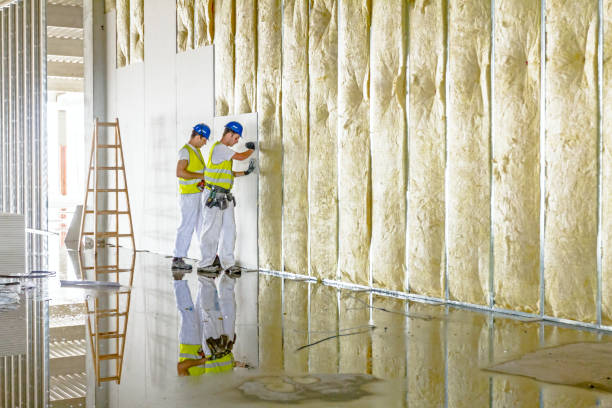 Best Types of Insulation in Mead Valley, CA